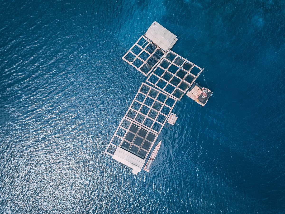 aerial view aerial photography of body of water during daytime musical instrument